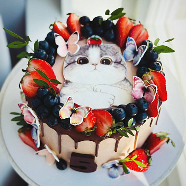 Торт "Котенок" купить - павловскийпосад.сладкоежкин.рф